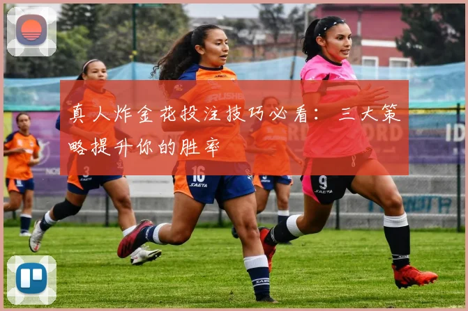 真人炸金花投注技巧必看：三大策略提升你的胜率